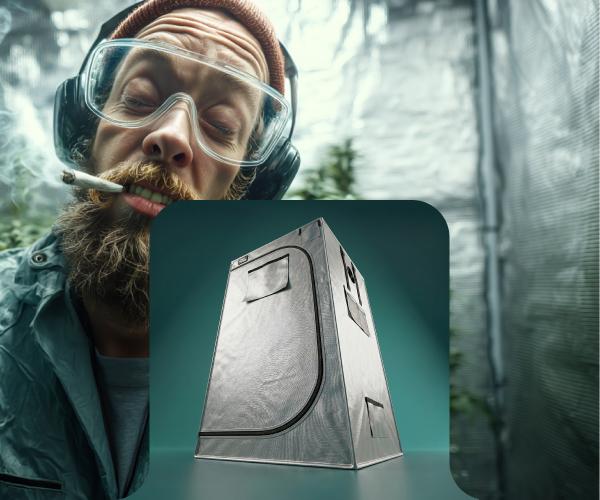 O teu cultivo caseiro ideal: kit completo ou à medida
