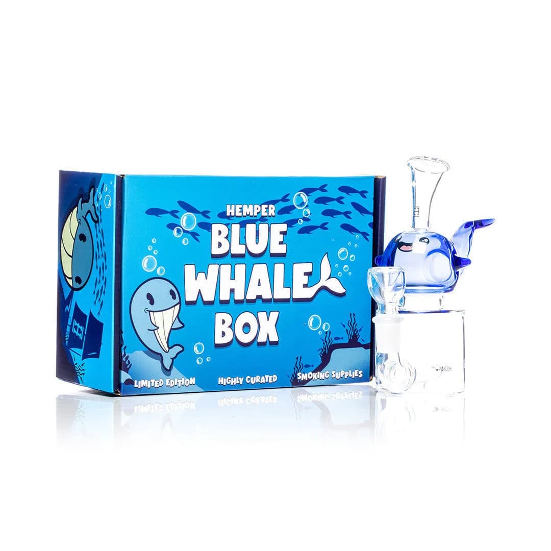 Bong Baleia Azul Hemper
