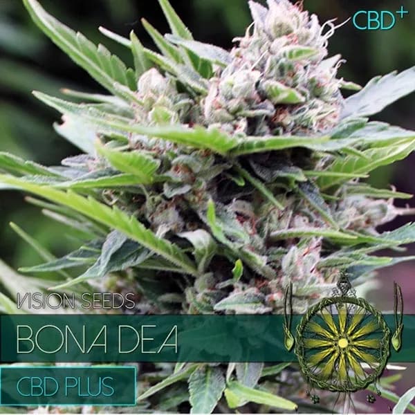 Bona Dea CBD