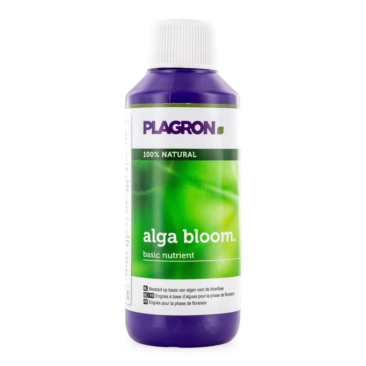 Alga Bloom