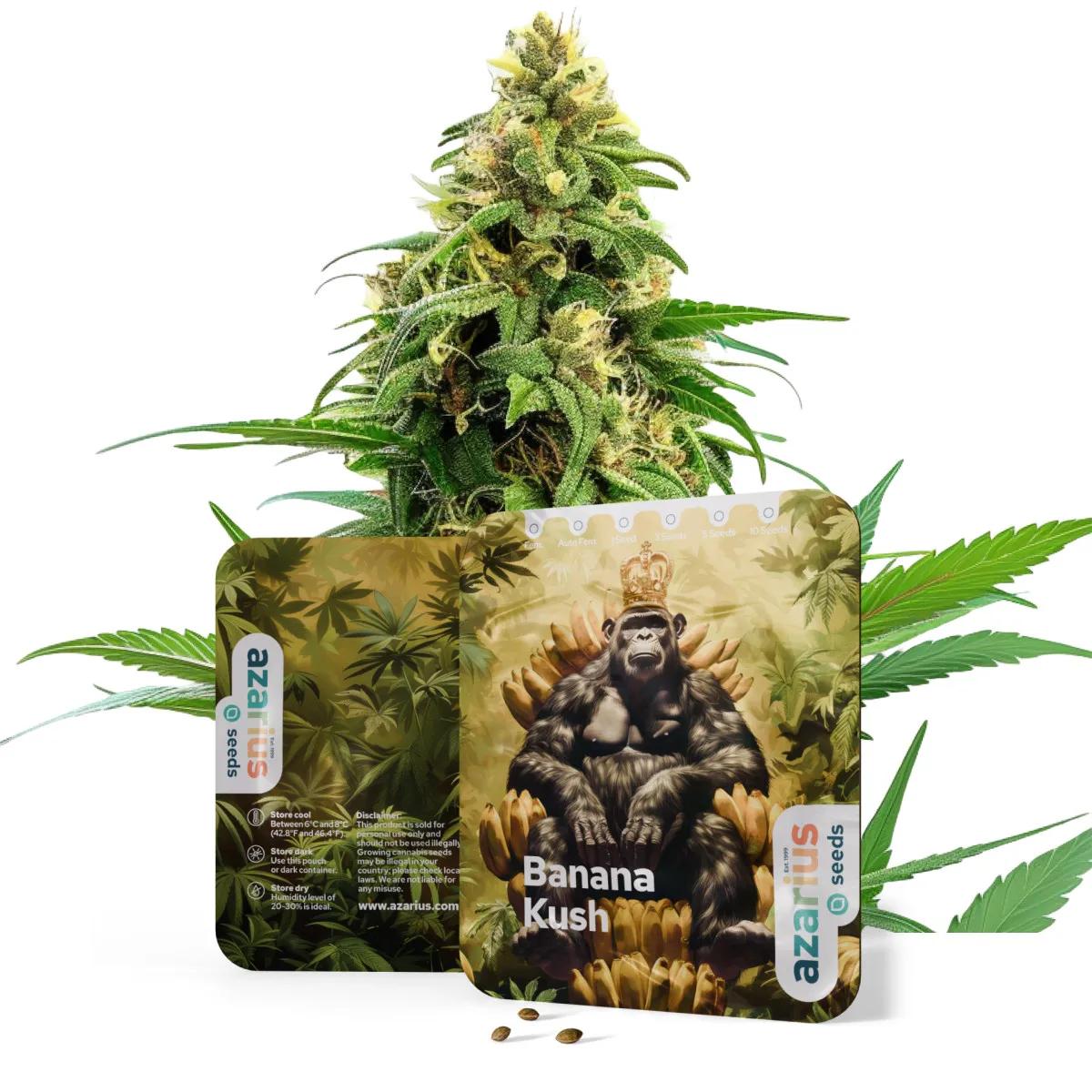 Banana Kush Auto