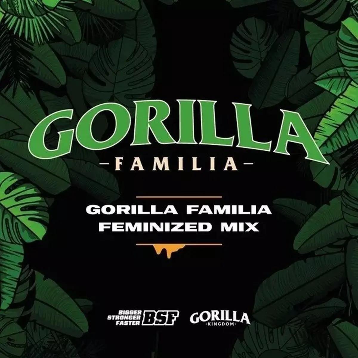 Gorilla Family Mix