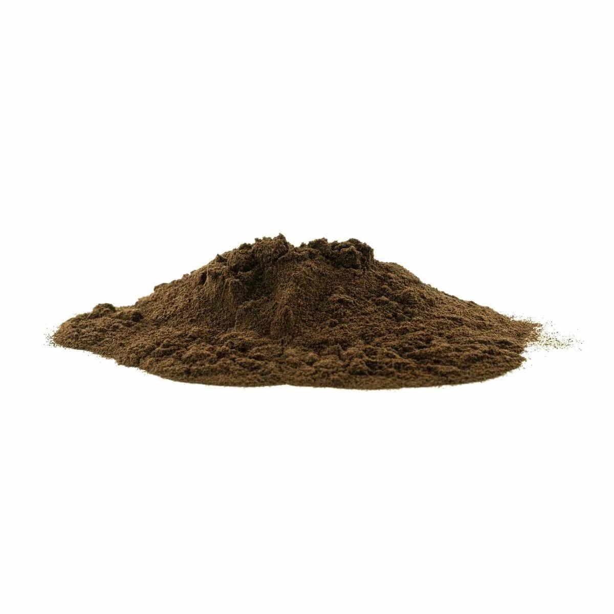 Cogumelo Chaga (Inonotus obliquus)