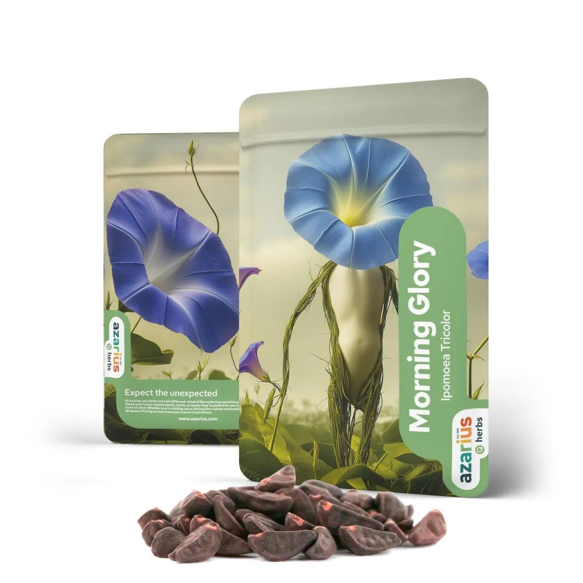 Sementes de Morning Glory