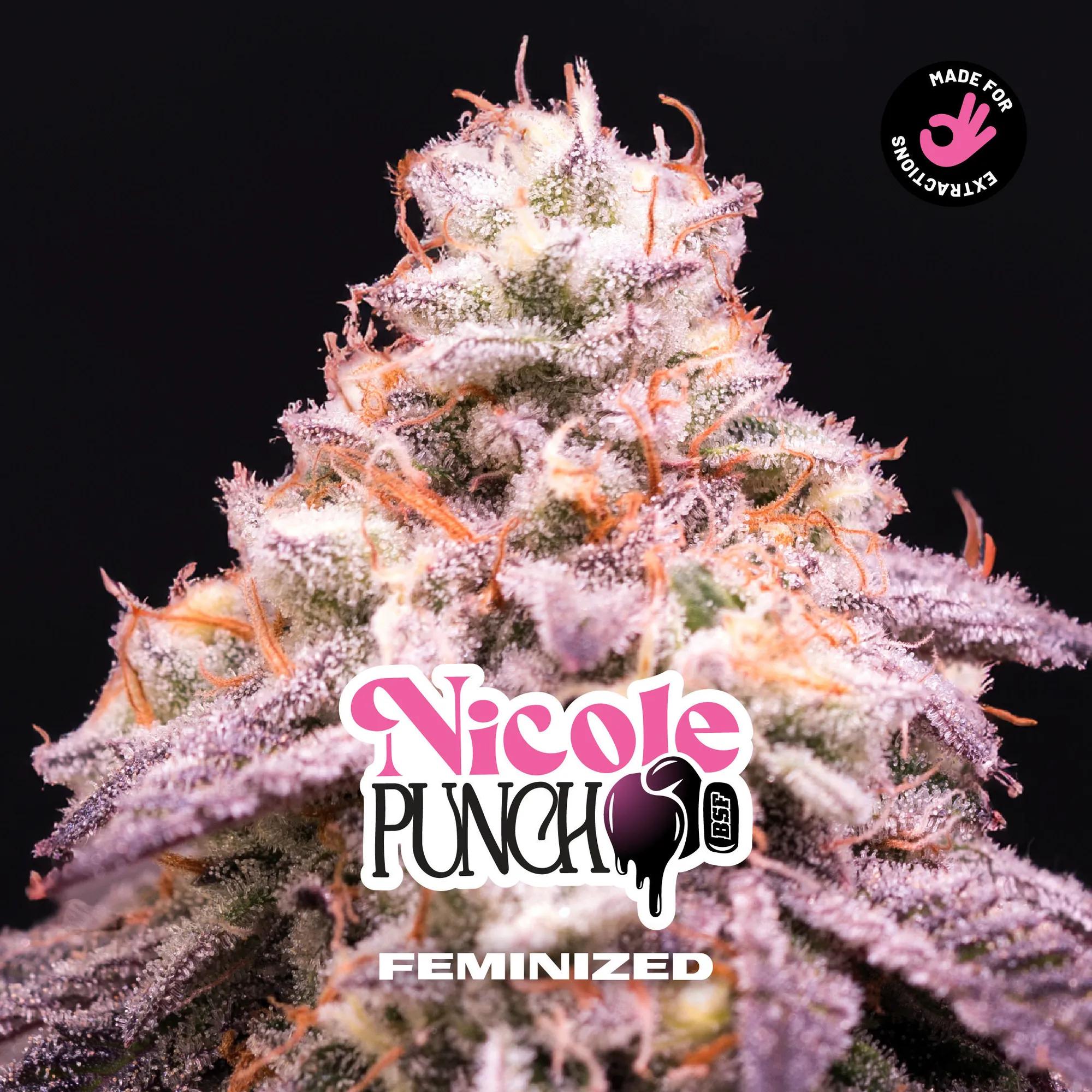 Nicole Punch