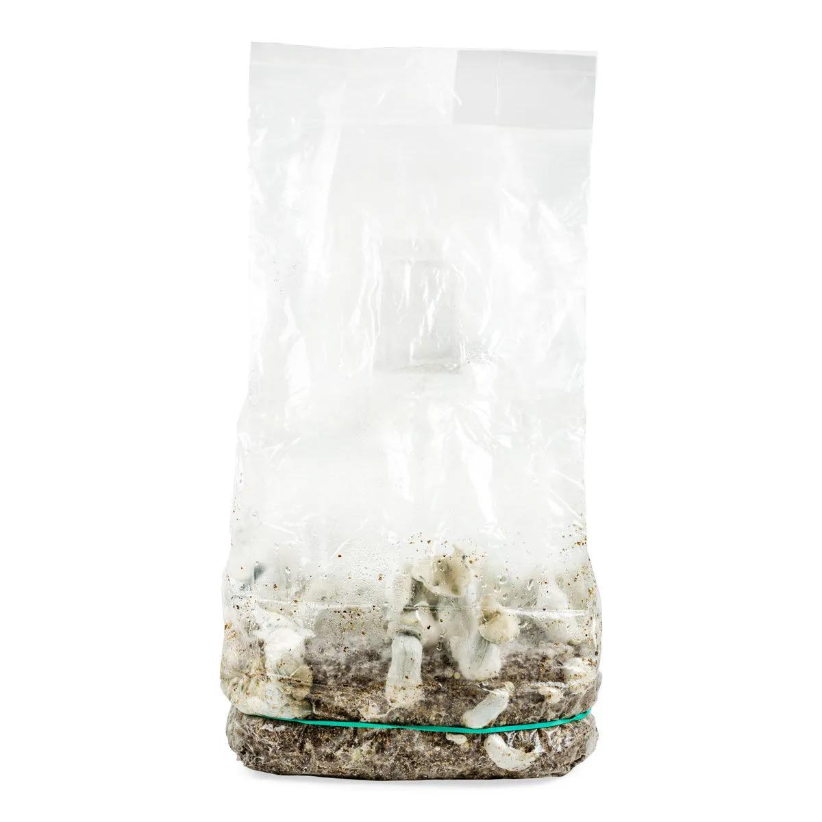 Kit de Cultivo Ready-2-Grow 'Jack Rabbit'