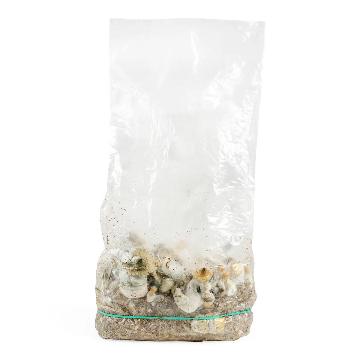 Saco Ready-2-Grow 'Makilla Gorilla'