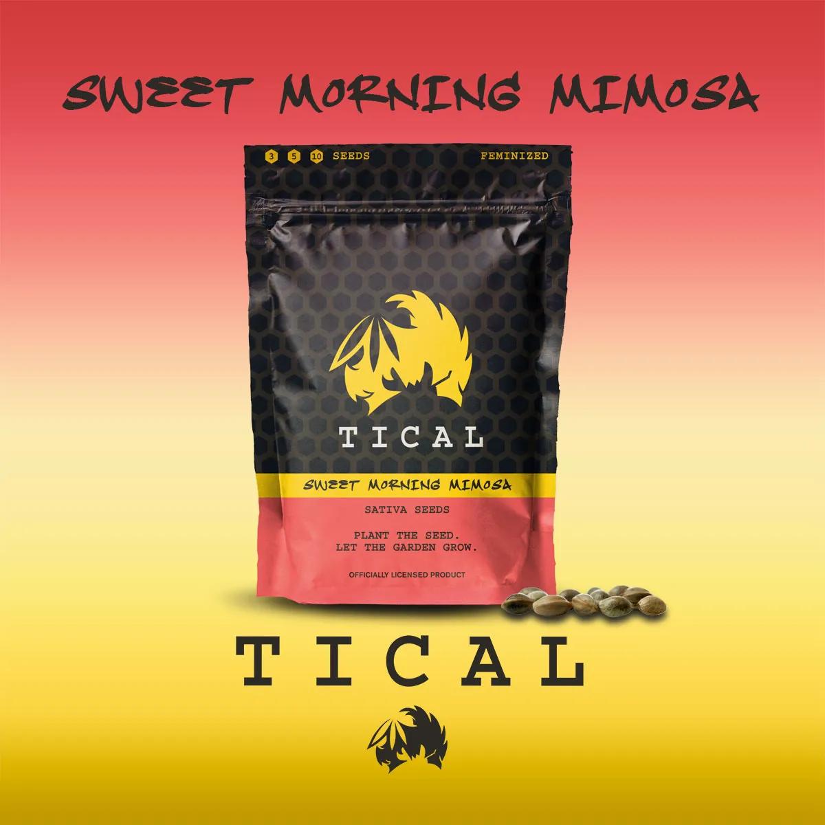 Sweet Morning Mimosa (TICAL)