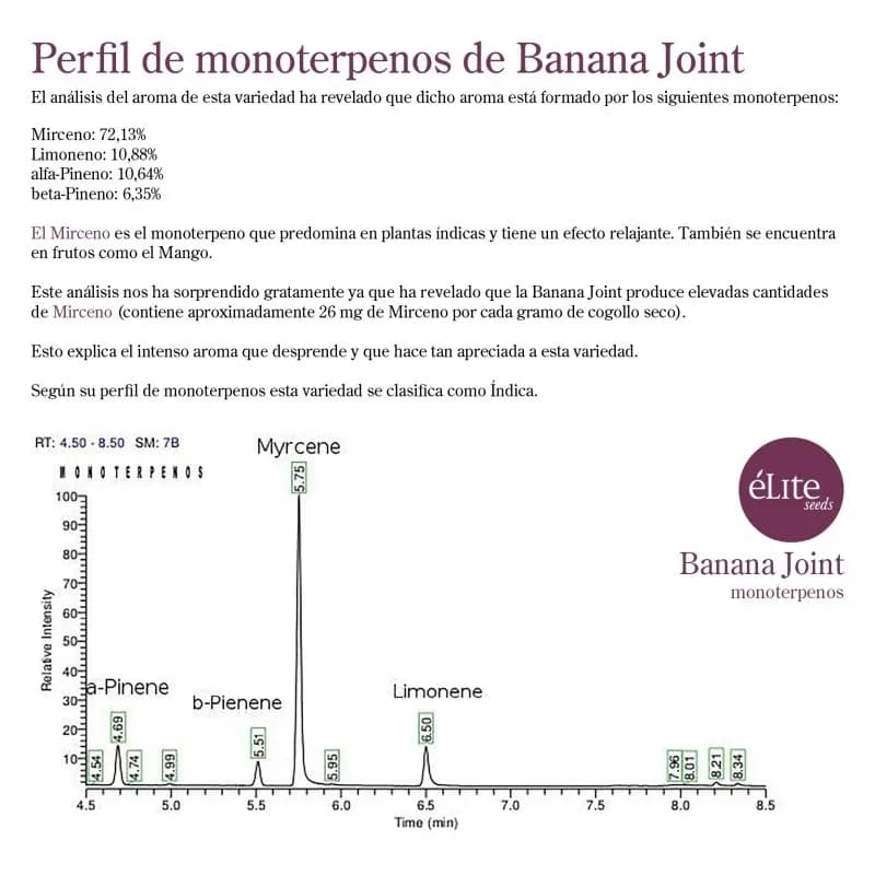 Banana Joint