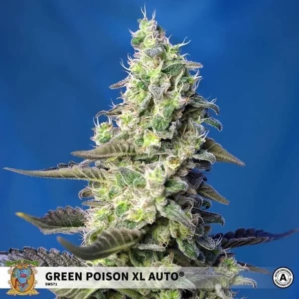 Green Poison XL Auto