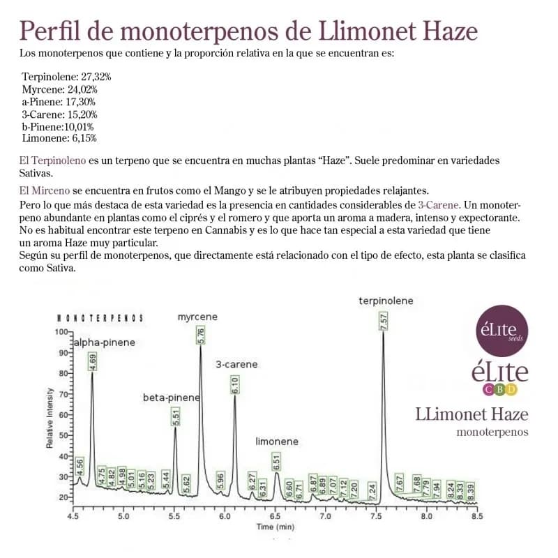 Llimonet Haze Classic THC