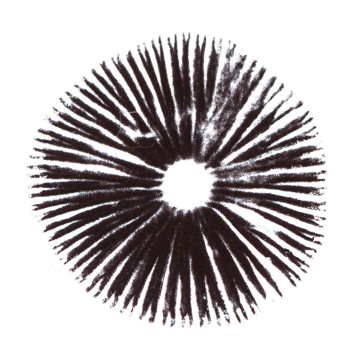 Impressão de Esporos Psilocybe Cubensis Golden Teacher
