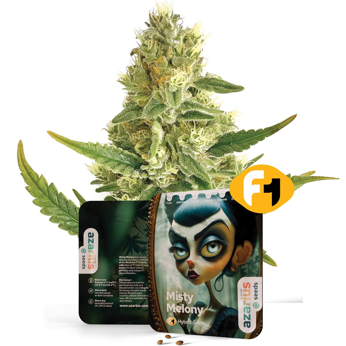 Misty Melony F1