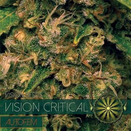 Vision Critical Autoflowering