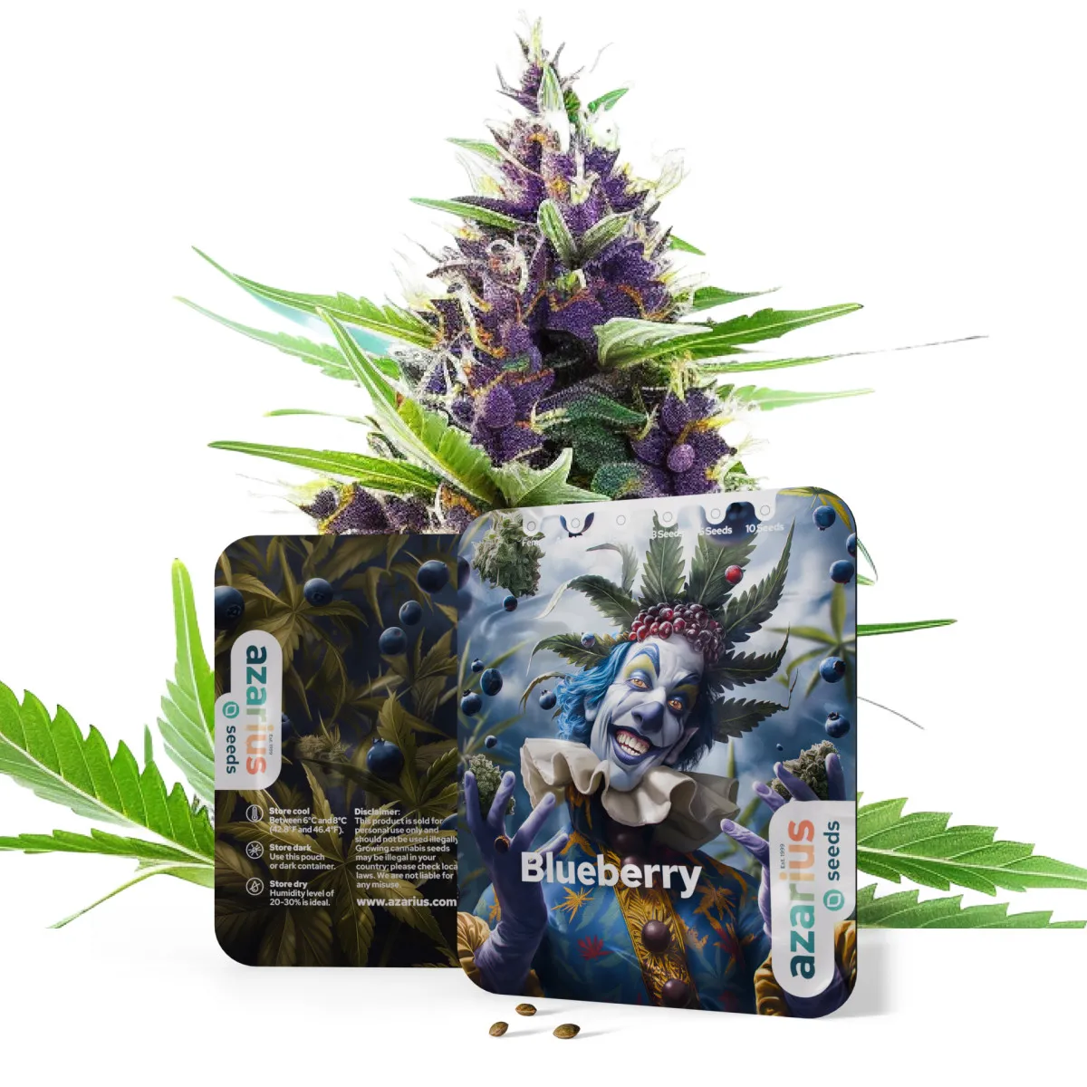 Blue Dream