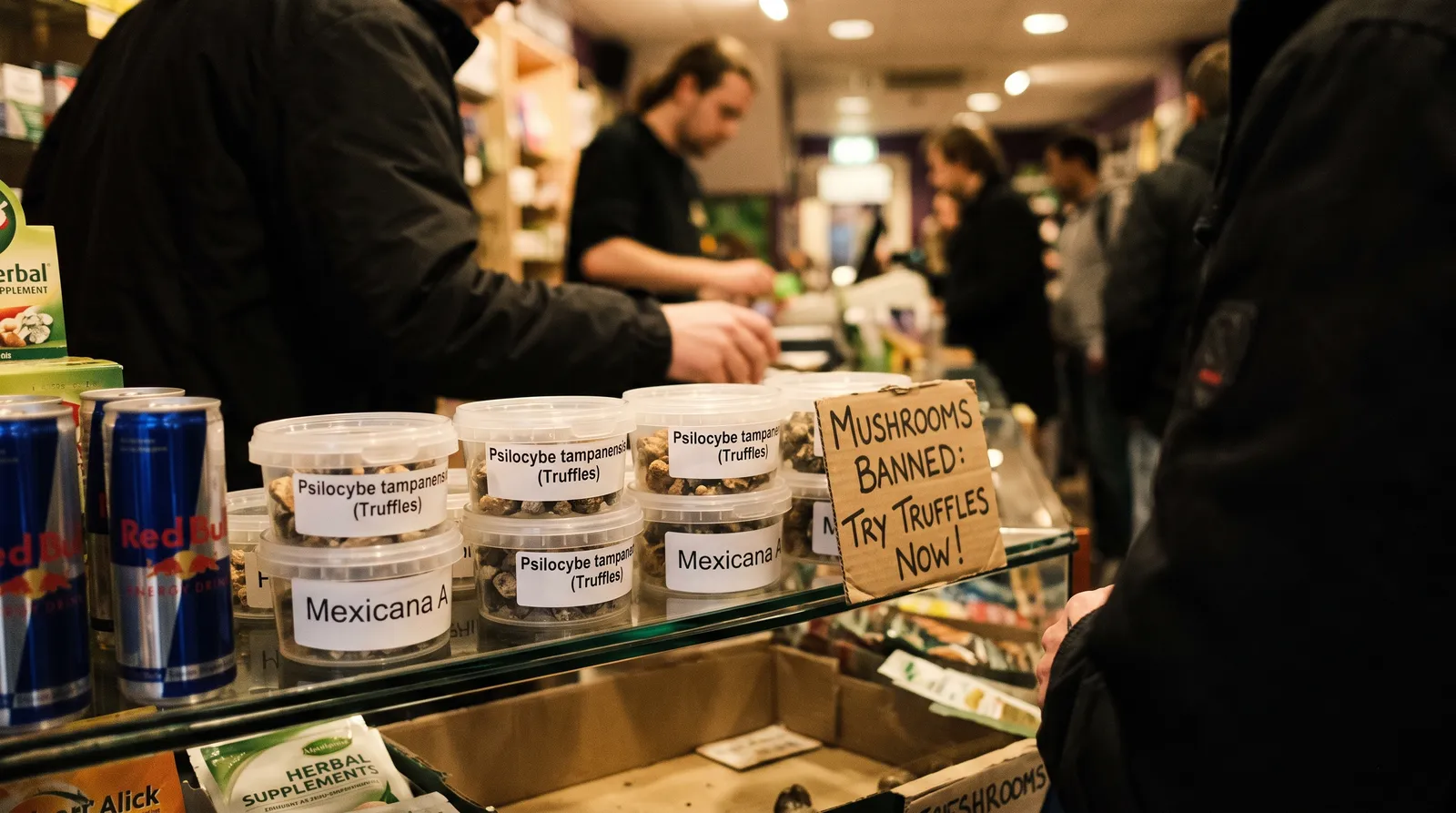 AZARIUS · 2008: A Proibição dos Cogumelos e o Aparecimento das Trufas