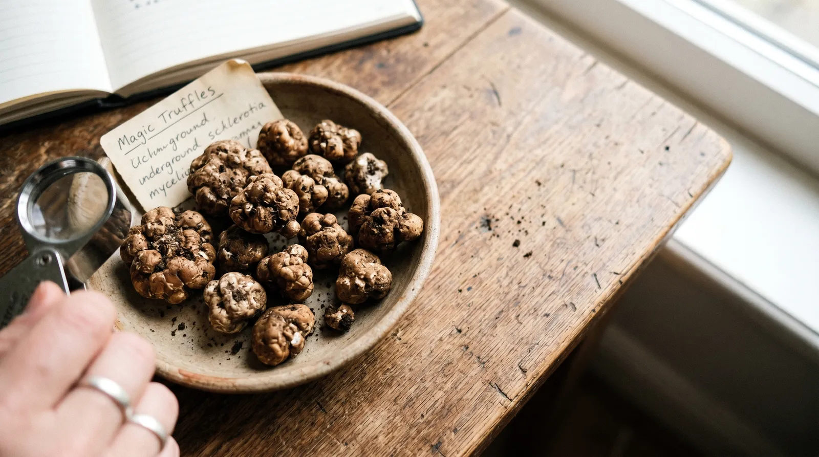 AZARIUS · Como Preparar e Consumir Trufas Mágicas