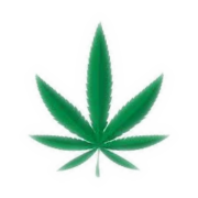 Nirvana Seeds logo